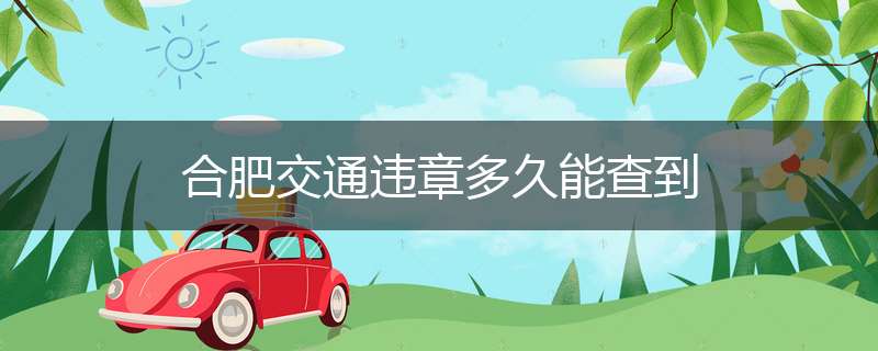 合肥交通违章多久能查到