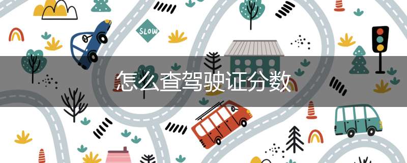 怎么查驾驶证分数