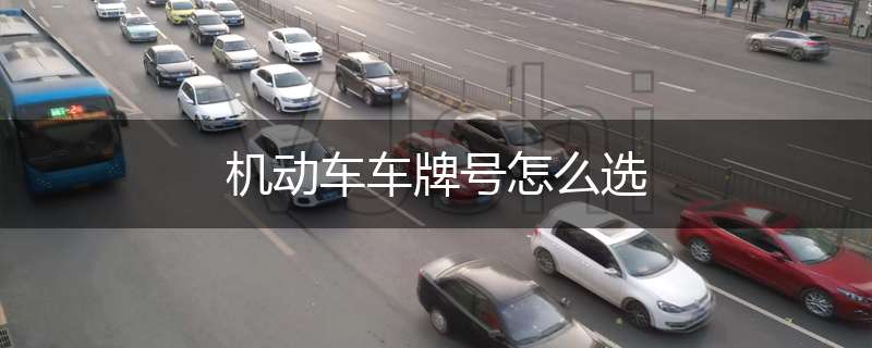机动车车牌号怎么选