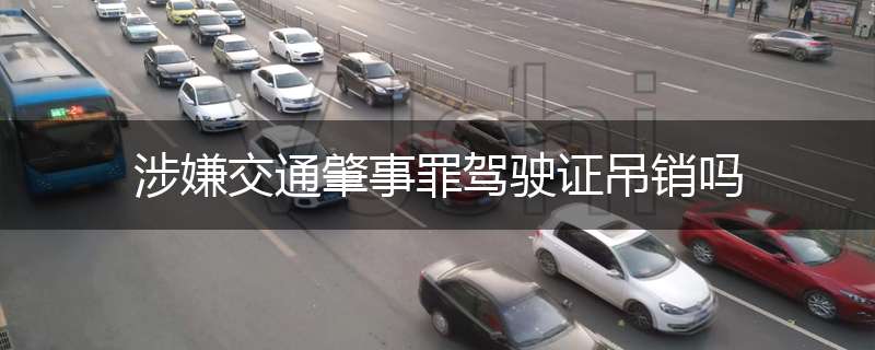 涉嫌交通肇事罪驾驶证吊销吗