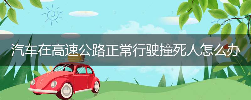 汽车在高速公路正常行驶撞死人怎么办
